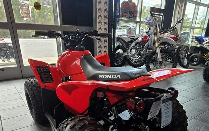 2026 Honda® TRX90X