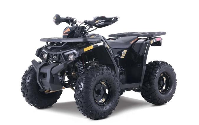 2026 MUDHAWK 10 - Denago Powersports
