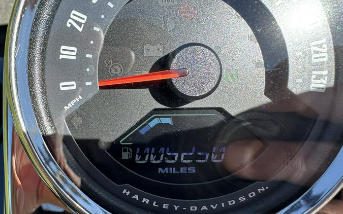 2020 Harley-Davidson® Low Rider® S