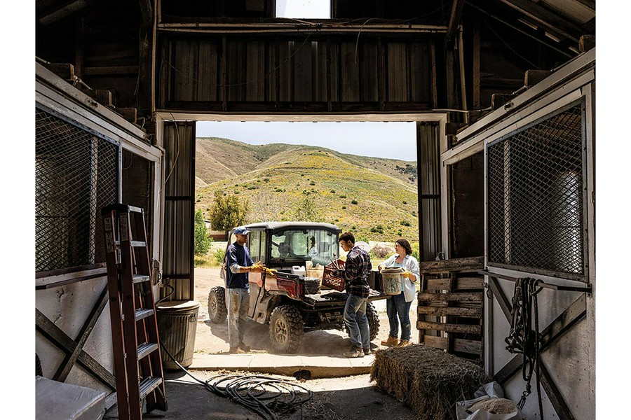 2024 Can-Am Defender MAX Limited