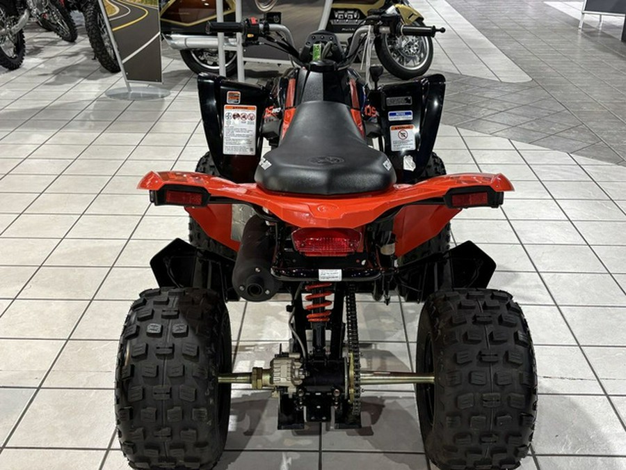 2026 Can-Am DS 250