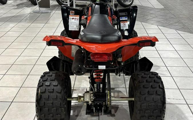 2026 Can-Am DS 250