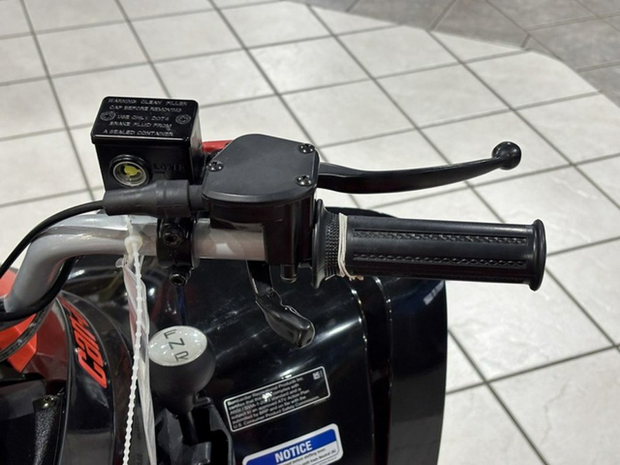 2026 Can-Am DS 250