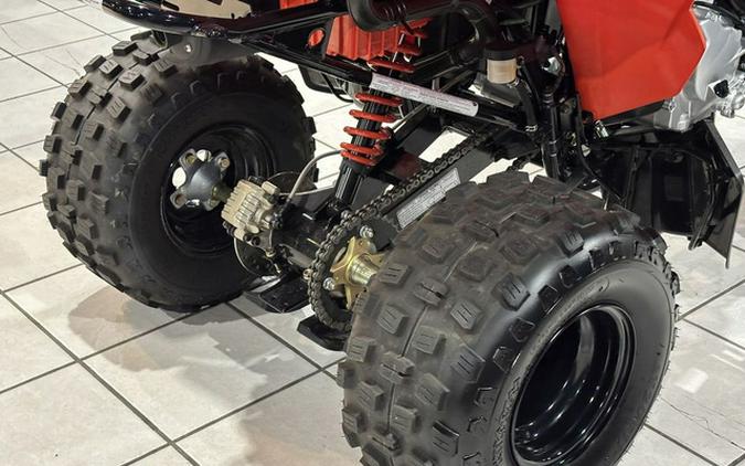 2026 Can-Am DS 250