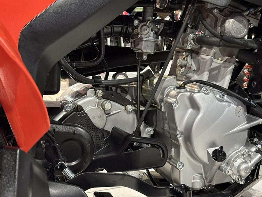 2026 Can-Am DS 250
