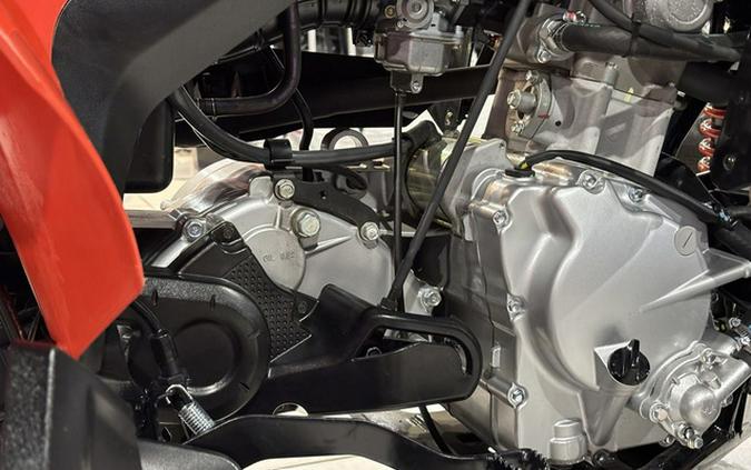 2026 Can-Am DS 250