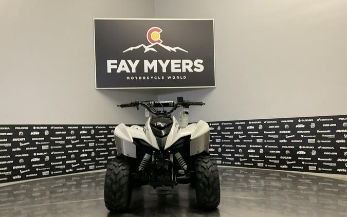 2027 KAWASAKI KFX 50 - 63517K