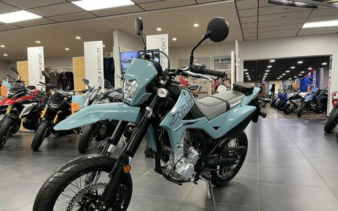 2024 Kawasaki KLX 300SM