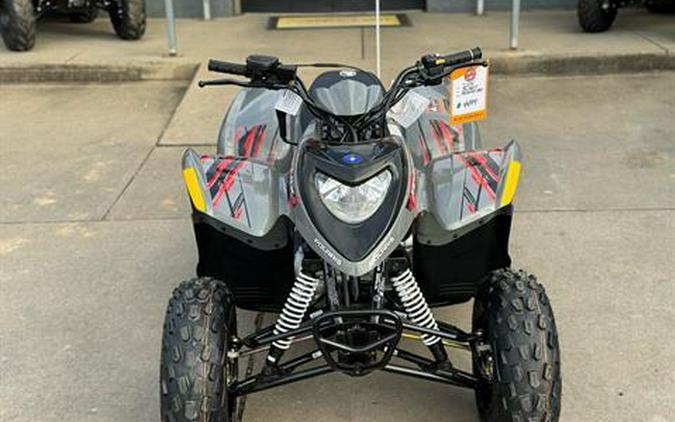 2024 Polaris Phoenix 200