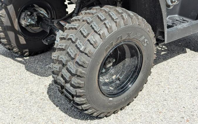 2025 Kawasaki Brute Force 300