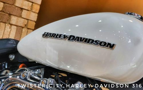 USED 2019 Harley-Davidson® Breakout® 114, FXBRS