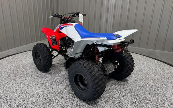 2026 Honda TRX 250X