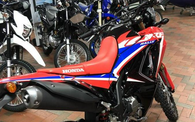 2023 Honda CRF300LS First Look [7 Fast Facts + 15 Photos]