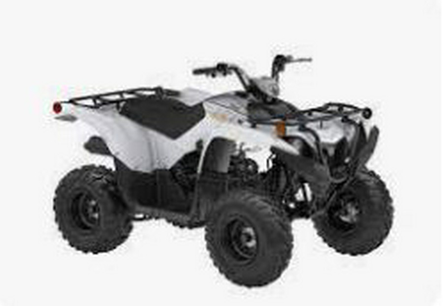 2024 Yamaha GRIZZLY 90