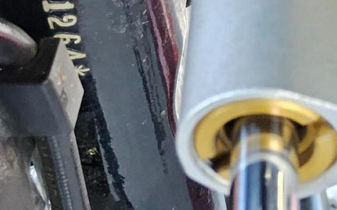 2017 Harley-Davidson Freewheeler