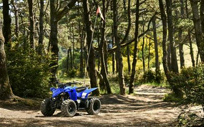2027 Yamaha YFZ50