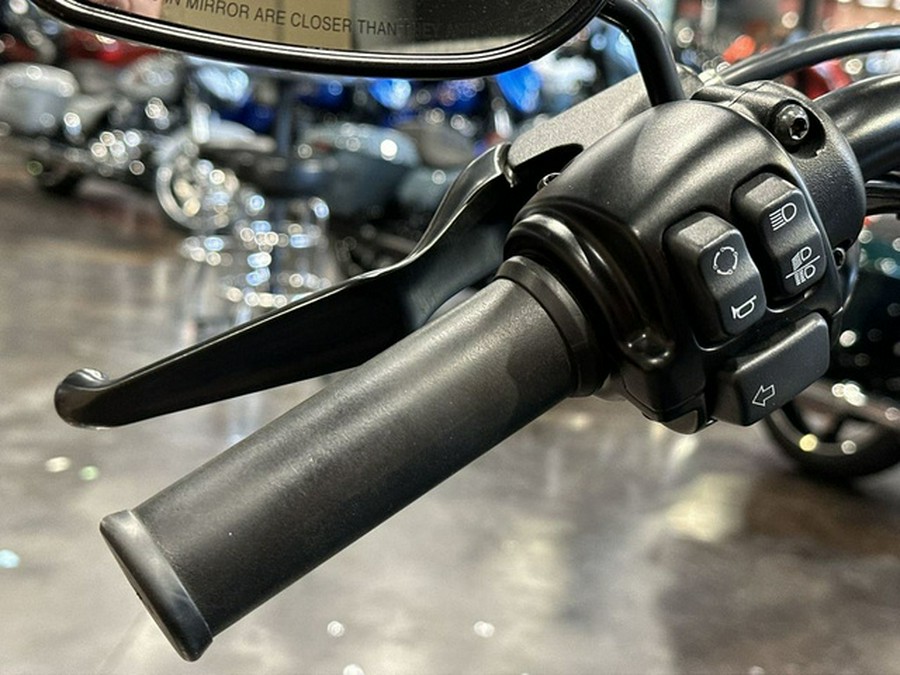 2019 Harley-Davidson Sportster XL 1200NS - Iron 1200