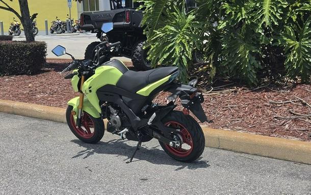2026 Kawasaki Z125 PRO