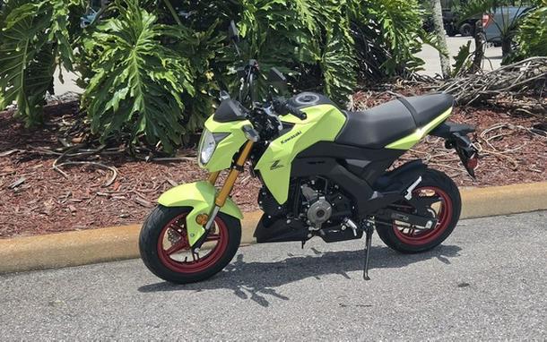 2026 Kawasaki Z125 PRO