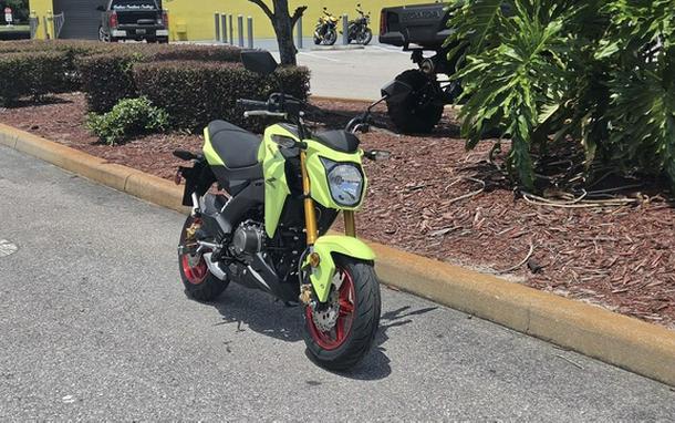 2026 Kawasaki Z125 PRO