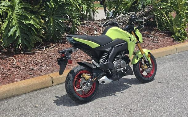 2026 Kawasaki Z125 PRO