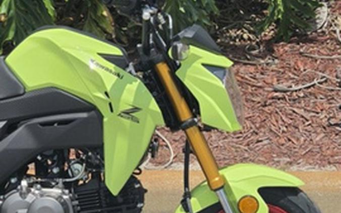 2026 Kawasaki Z125 PRO
