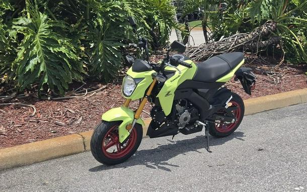 2026 Kawasaki Z125 PRO
