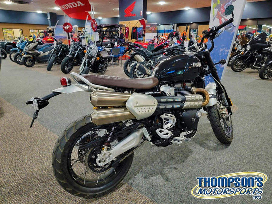 2022 Triumph DR4