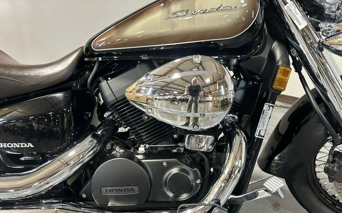 2024 Honda Shadow Aero