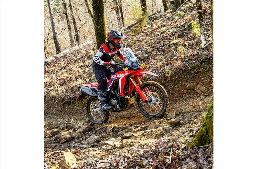 2024 Honda CRF300L Rally