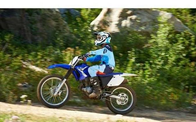 2014 Yamaha TT-R230