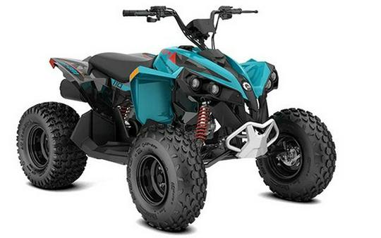 2026 Can-AM Renegade 110 EFI