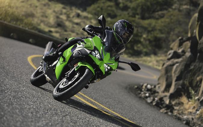 2026 Kawasaki Ninja® 500 SE ABS