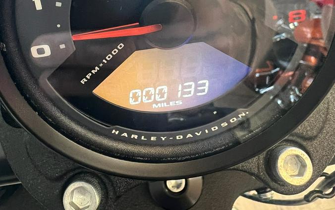 2024 Harley-Davidson Low Rider® S