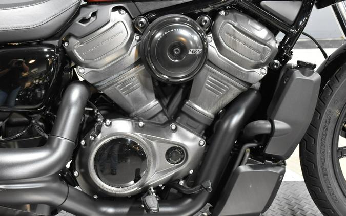 2024 Harley-Davidson Nightster