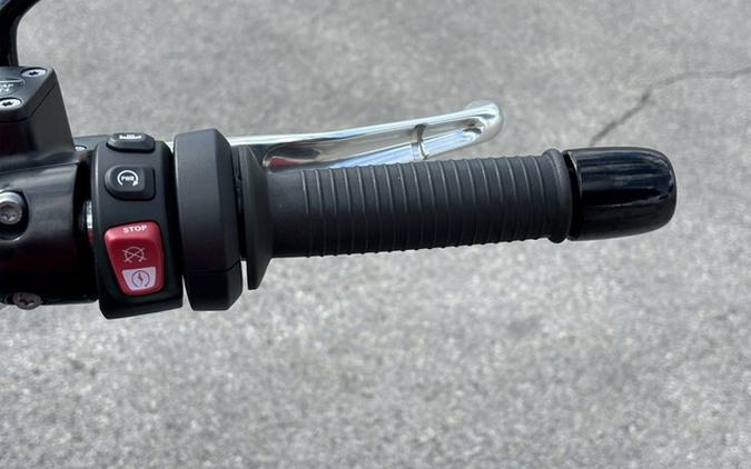 2024 BMW R 18 719 Olivine Base