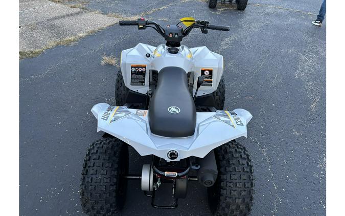 2026 Can-Am RENEGADE 70 EFI