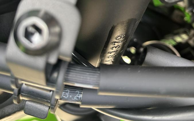 2026 Ninja® 500 SE ABS - Kawasaki
