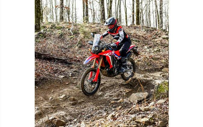 2024 Honda CRF300LRAR