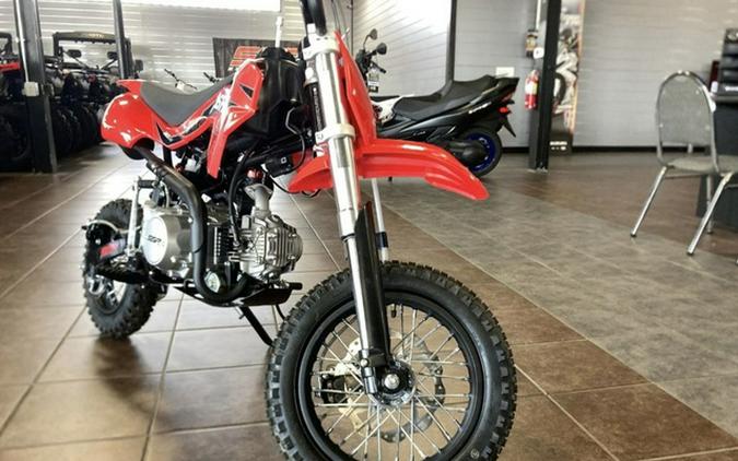 2025 SSR SR110-SE