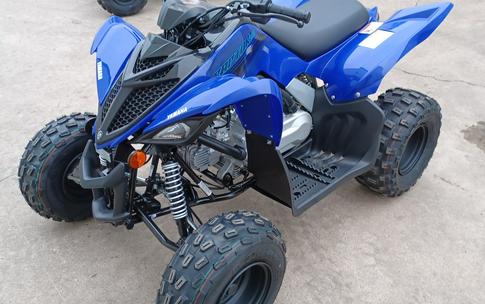 2024 Yamaha Raptor 110