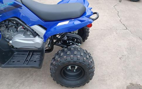 2024 Yamaha Raptor 110