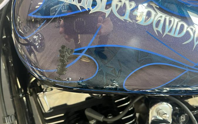 2005 Harley-Davidson® Wide Glide