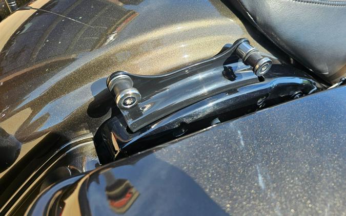 2020 Harley-Davidson Road Glide® Special