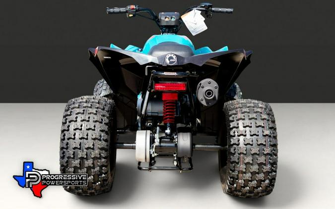 2026 Can-Am® Renegade 110 EFI