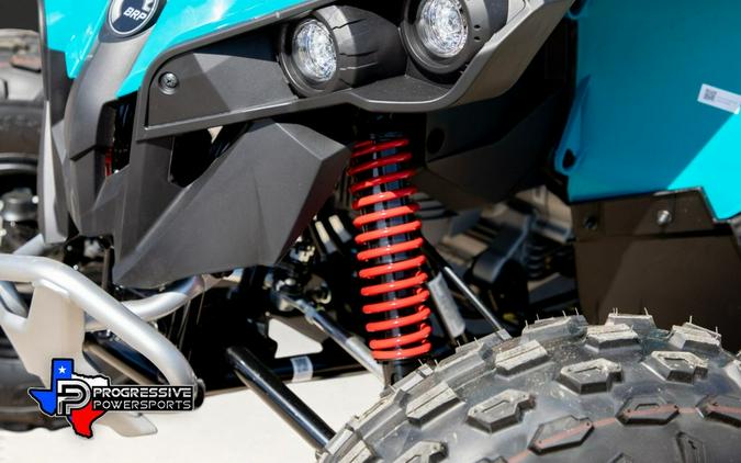 2026 Can-Am® Renegade 110 EFI