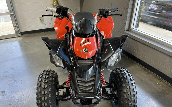 2022 Can-Am® DS 250