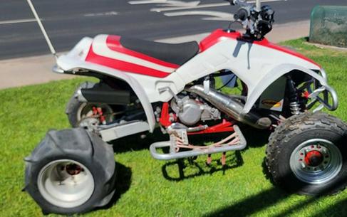 1987 Honda TRX 250X