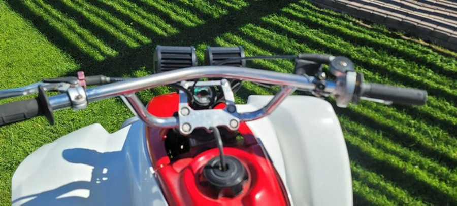 1987 Honda TRX 250X