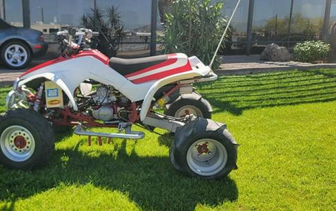 1987 Honda TRX 250X